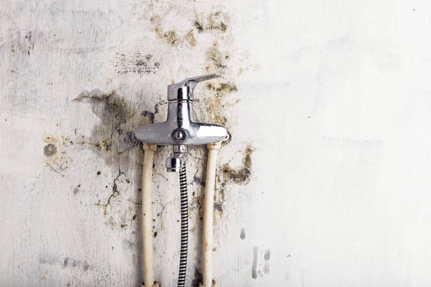 Best Mold Testing  in Orchards, WA