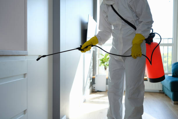 Best Mold Remediation  in Orchards, WA