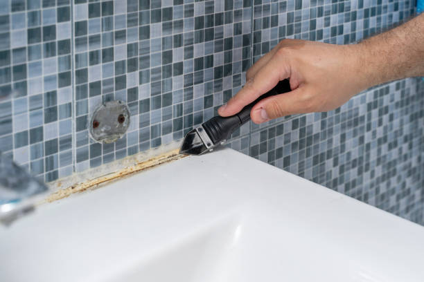 Best Mold Cleaning Services  in Orchards, WA